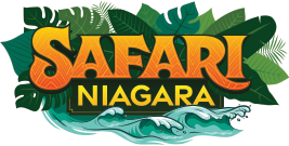 Niagara Falls Valentine's Day - Safari Niagara